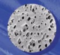 美國(guó)PALL HT Tuffyn微孔過濾膜片 0.2μm,293mm