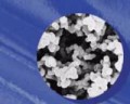 美國PALL Supor型微孔過濾膜片 0.1μm,293mm