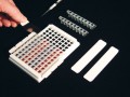 Excel Scientific SealPlate ELISA，EIA和微孔板  MiniStrip膜，200/PK