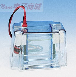 Cole-Parmer 雙立式微型電泳設(shè)備，凝膠床的尺寸為10×10厘米,MGV-202-U