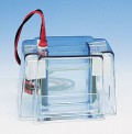 Cole-Parmer 雙立式微型電泳設(shè)備，凝膠床的尺寸為10×10厘米,MGV-202-U