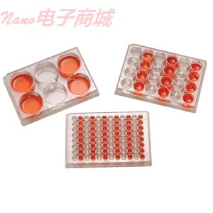 Cole-Parmer 科爾 - 帕默P1012無菌組織培養(yǎng)12 - 孔板，1盒100