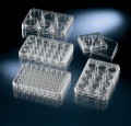 Thermo Scientific 150787 Nunc 48孔培養(yǎng)皿，未處理，75/case