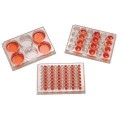 Cole-Parmer 科爾 - 帕默P1006無菌組織培養(yǎng)6孔板，1盒100