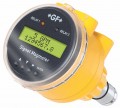 + GF + 插入電磁流量計顯示，PP和316L不銹鋼材料，5個“8”管的大小，頻率或數(shù)字輸出選項