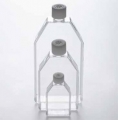 德國Eppendorf 艾本德 細胞培養(yǎng)瓶 T-25 TC處理 貨號：0030710100