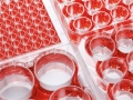 德國Eppendorf 艾本德 細(xì)胞培養(yǎng)板,12孔 TC處理 貨號(hào)：0030721101